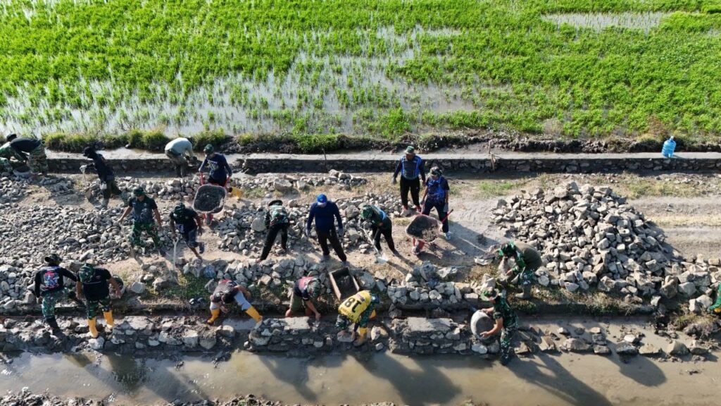 Capaian Pembangunan Jalan Tani TMMD Ke-129 Kodim 1404/Pinrang Tercatat di Hari ke-11 Capaian Pembangunan Jalan Tani TMMD Ke-129 Kodim 1404/Pinrang Tercatat di Hari ke-11