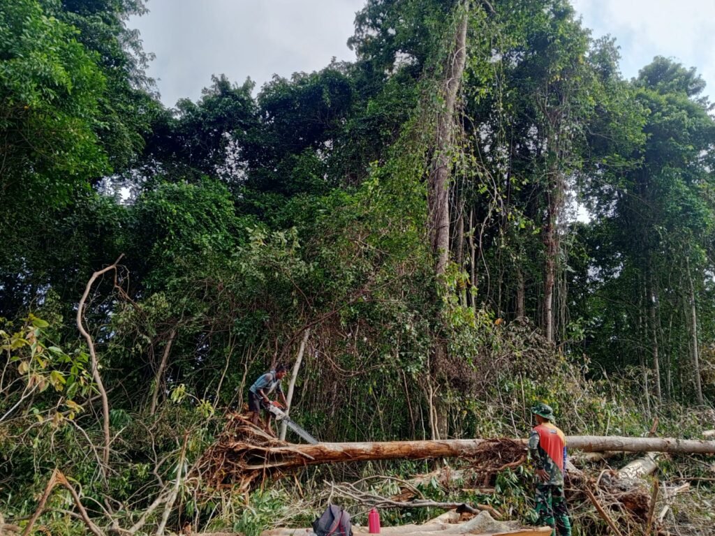Satgas TMMD dan Warga Olah Kayu Pohon Tumbang Jadi Material Renovasi RTLH