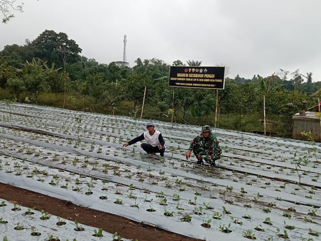 Program Ketahanan Pangan TMMD Bangli Dorong Warga Manfaatkan Lahan Produktif Program Ketahanan Pangan TMMD Bangli Dorong Warga Manfaatkan Lahan Produktif