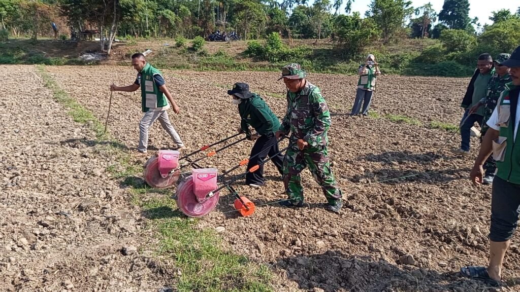 Satgas TMMD Ke-129 Kodim 0102/Pidie Gandeng PPL Edukasi Warga Budidaya Jagung