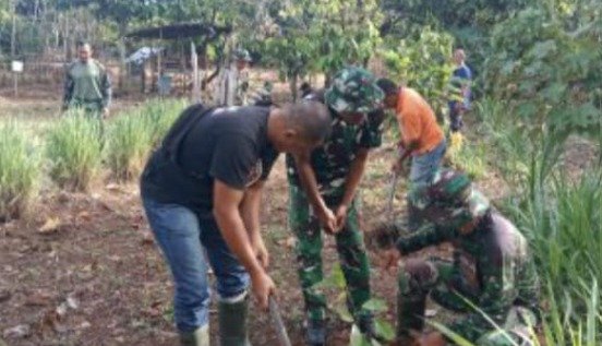 Lahan Kosong Disulap Jadi Kebun Produktif, Satgas TMMD Dorong Kemandirian Pangan Warga Pidie Lahan Kosong Disulap Jadi Kebun Produktif, Satgas TMMD Dorong Kemandirian Pangan Warga Pidie