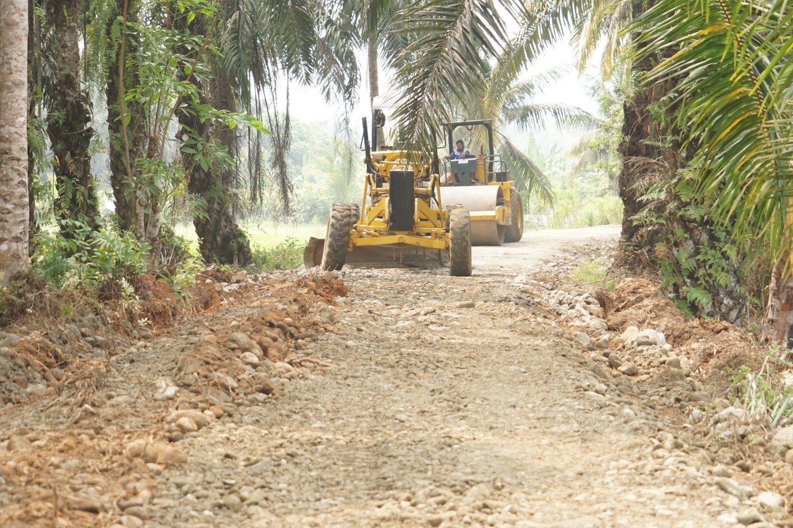 Kehadiran Jalan Baru TMMD ke-130 Perkuat Ekonomi Warga Perbatasan Bengkulu