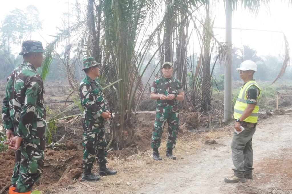 Pembangunan Jalan TMMD ke-130: Jalan Menuju Kesejahteraan Warga Parumpanai
